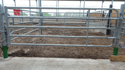Materiels - Cage de contention - PACK DE 12 AVANTS PORTE STANDARD EX5 L.1.51M
