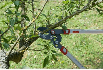 Pièces agricoles - Cloture,Jardin & Sylviculture - Elagueur coupe mixte 45mm