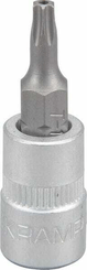 Outils - Outils divers - Douille de tournevis 1/4" Torx TX 15
