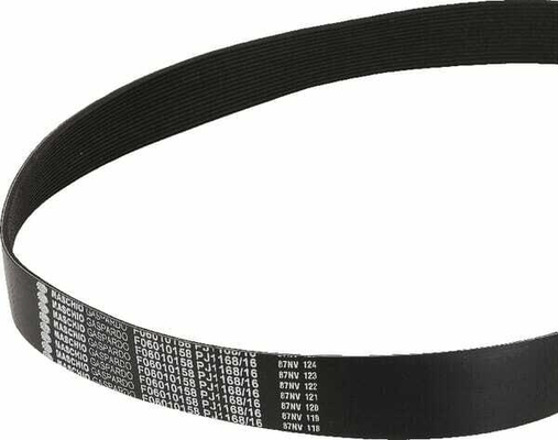 Pièces agricoles - Machines - Courroie 1168 J16 Gaspardo