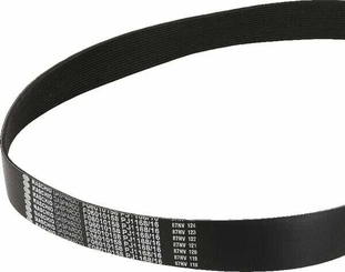 Pièces agricoles - Machines - Courroie 1168 J16 Gaspardo