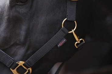 Pièces agricoles - Cloture,Jardin & Sylviculture - Topline Cob noir