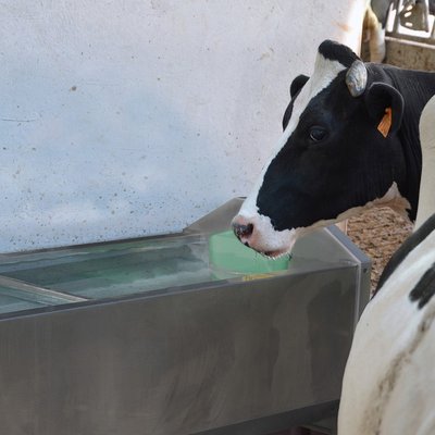 Materiels - Abreuvoir - DAIRYNOX 600