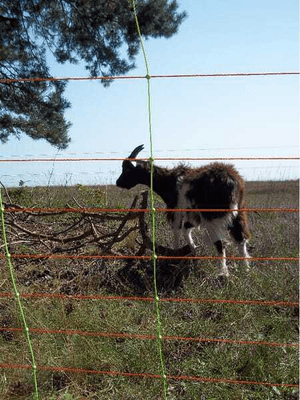 Pièces agricoles - Cloture,Jardin & Sylviculture - Filet combi à barres transv.