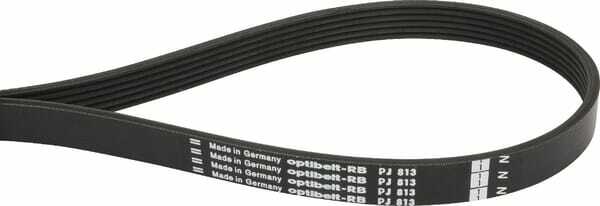 Pièces agricoles - Transmission - Courroie nervurée 6PJ 813mm Optibelt
