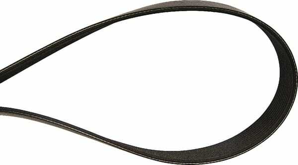 Pièces agricoles - Machines - Courroie Gaspardo