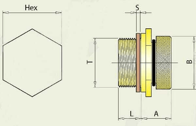 Pièces agricoles - Moteurs pièce adaptable - Bouchon de vidange BSP1/2"-14
