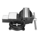 ETAU ACIER 200MM AVEC ENCLUME (10808)