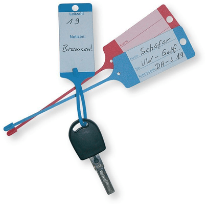 Automobile - Consommables et accessoires auto. - PORTE-CLES BLEU X100