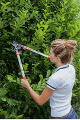 Pièces agricoles - Cloture,Jardin & Sylviculture - Ebrancheur 40mm