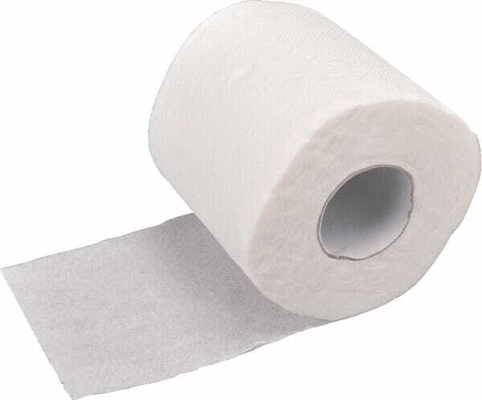 Chimie - Chimie divers - Papier toilette, rouleau blanc, 10cm x 28m, 2 plis, extérieur Ø100mm, gaufré, 48 rouleaux, gopart