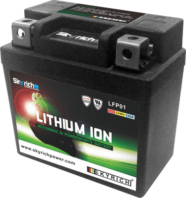 Pièces Quad & Motos - Electrique - Batterie SKYRICH Lithium-Ion - LFP01