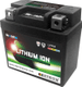 Batterie SKYRICH Lithium-Ion - LFP01