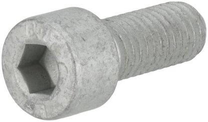 Pièces agricoles - TP pièce origine - Vis à tête cylindrique