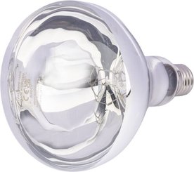 Pièces agricoles - Cloture,Jardin & Sylviculture - Lampe infrarouge 150W transparente