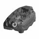 ASM-CALIPER,FRT,RAD,LH,TI-M Polaris origine