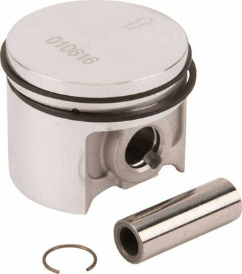 Pièces agricoles - Jardin et forêt pièce origine - Piston