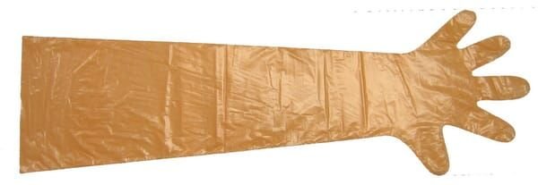Pièces agricoles - Cloture,Jardin & Sylviculture - Disposable gloves VETbasic 100pcs orange