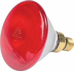 Pièces agricoles - Cloture,Jardin & Sylviculture - Lampe chauffante à infrarouge PAR Rouge 100W