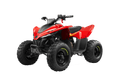 Quad CF MOTO CFORCE 110
