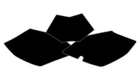 Fonds de plaque BLACKBIRD noir Beta RR