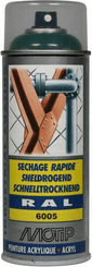 Chimie - Chimie divers - RAL 6005 spray acr. vrt mousse