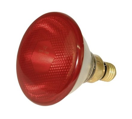 Pièces agricoles - Cloture,Jardin & Sylviculture - Econ, lampe infrarouge 175W rouge