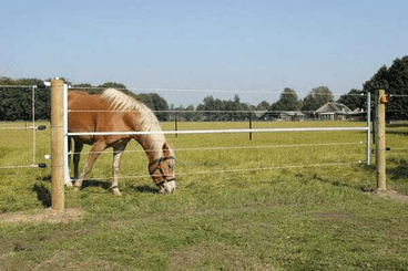 Pièces agricoles - Cloture,Jardin & Sylviculture - Porte électrifiée