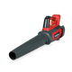 Souffleur Honda HHB36BXB