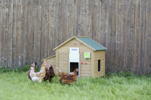 Pièces agricoles - Cloture,Jardin & Sylviculture - Auto Porte pour volaille w. Porte coulissante 300x400 mm