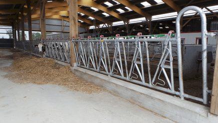 Materiels - Matériel d'élevage - autre - PANNEAU SAFETY IV 6P./4.40M