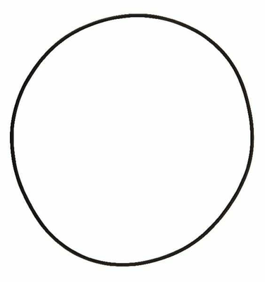 Pièces agricoles - Pièce Pulvérisateur - Joint torique 164,77x2,62