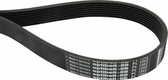 Courroie nervurée 8 nervures 8PL1613 Optibelt