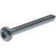 Vis auto perforatrice torx 5,5x45 mm