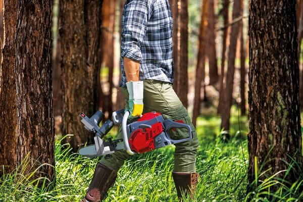 Pièces agricoles - Jardin et forêt pièce adaptable - Affûteuse de chaîne à batterie montée sur barre, MicroJolly, Tecomec
