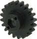 Pignon (arbre à semis)Z20 SW15