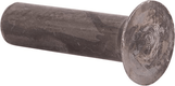 Rivet