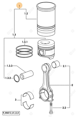 Pièces agricoles - Pieces moteur - GROUPE DU PISTON CYL Deutz-Fahr origine