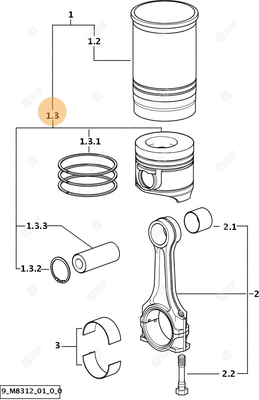 Pièces agricoles - Pieces moteur - PISTON COMPLET Deutz-Fahr origine