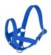 Licol Lama taille 50 bleu