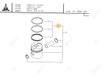 JEU DE 3 SEGMENTS Deutz-Fahr origine