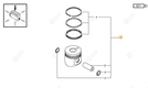 PISTON Deutz-Fahr origine