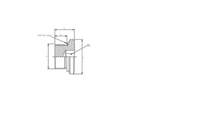 Pièces agricoles - Hydraulique - Bouchon de port fileté M27 WD SS
