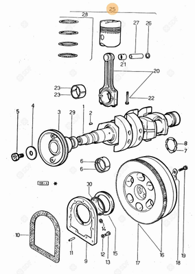 Pièces agricoles - Pieces moteur - PISTON COMPLET Deutz-Fahr origine