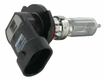 Ampoule