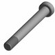 SCR-SH-M8X1.25X72 8.8 ZTB SPC Polaris origine