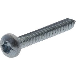 Pièces agricoles - Fasteners - Vis auto perforatrice torx 4,2x32 mm