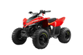 Quad CF MOTO CFORCE 110