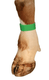 Bracelets velcro vert (x10)