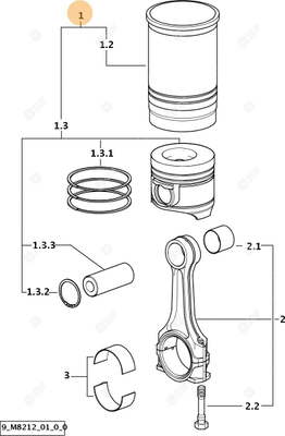 Pièces agricoles - Pieces moteur - GROUPE DU PISTON CYL Deutz-Fahr origine